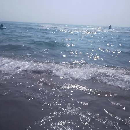 Alma بيت ضيافة